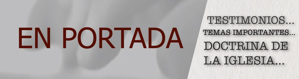 banner clips NUEVO